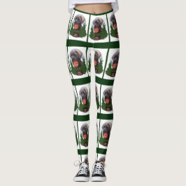 Cane Corso Kerstmis Leggings