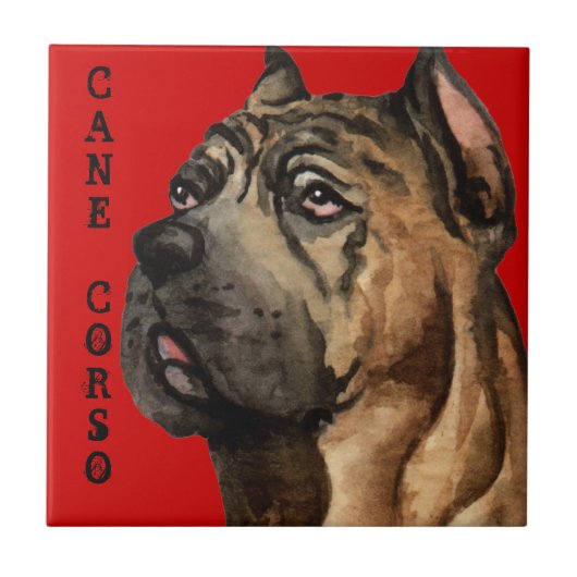 Cane Corso-kleurenblok Tegeltje (Voorkant)