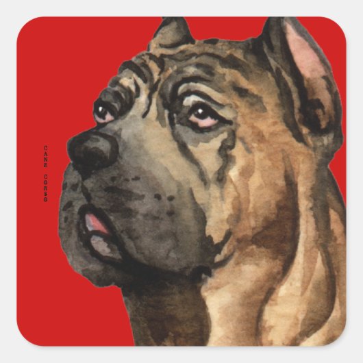 Cane Corso-kleurenblok Vierkante Sticker (Voorkant)