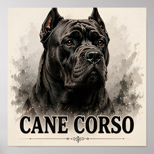 Cane Corso Krachtige Waakhond Hond Portret Poster