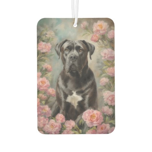 Cane Corso Luchtverfrisser (Achterkant)