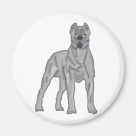 Cane Corso Magneet