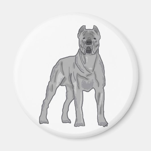 Cane Corso Magneet (Voorkant)