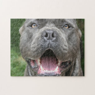 Cane Corso Mastiff Dog Legpuzzel