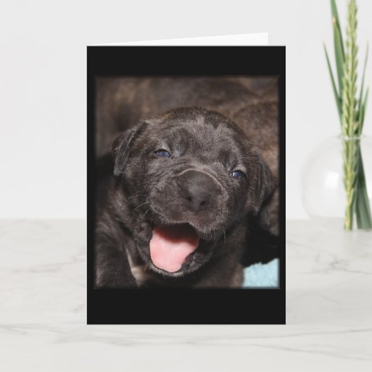 Cane Corso Mastiff Puppy Kaart (Voorkant)