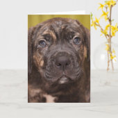 Cane Corso Mastiff Puppy Note Kaart (Gele Bloem)