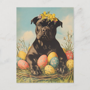 Cane Corso  Pasen Briefkaart