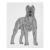 Cane Corso Perfect Poster (Voorkant)