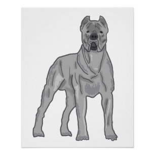 Cane Corso Perfect Poster