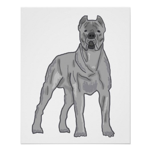 Cane Corso Perfect Poster (Voorkant)