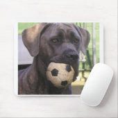 cane corso.png muismat (Met muis)