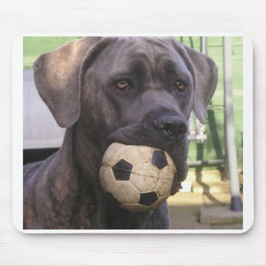 cane corso.png muismat (Voorkant)
