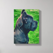 Cane Corso portret Canvas Afdruk (Voorkant)