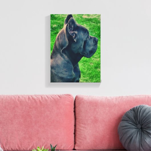 Cane Corso portret Canvas Afdruk (Insitu (Woonkamer))