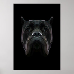 Cane Corso Poster
