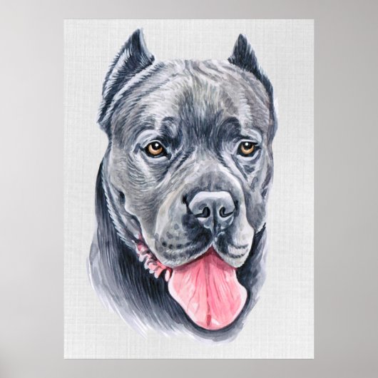 Cane Corso Poster (Voorkant)