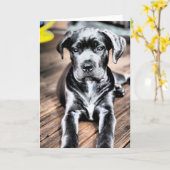 Cane Corso Pup 2.png Kaart (Gele Bloem)