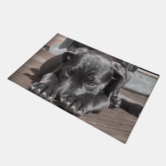 Cane Corso Puppy Deurmat (Schuin)