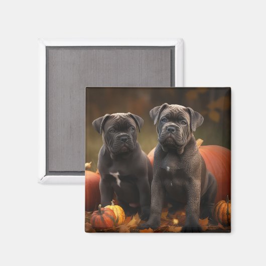 Cane Corso Puppy Herfst Delight Pompoen Magneet (Voorkant / Achterkant)