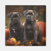 Cane Corso Puppy Herfst Delight Pompoen Magneet (Voorkant)