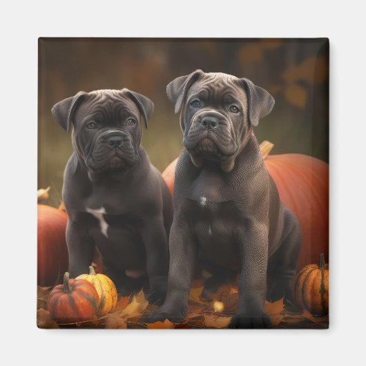 Cane Corso Puppy Herfst Delight Pompoen Magneet (Voorkant)