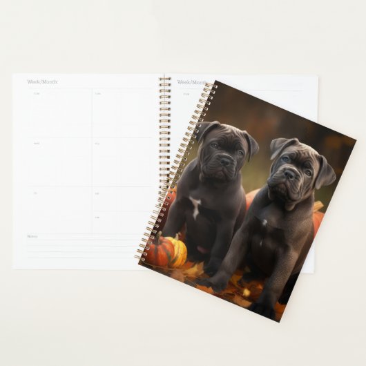 Cane Corso Puppy Herfst Delight Pompoen Planner (Display)