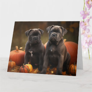 Cane Corso Puppy Herfst Plezier Pompoen Kaart