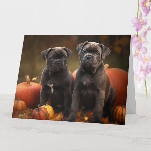 Cane Corso Puppy Herfstpracht Pompoen Kaart (Orchidee)