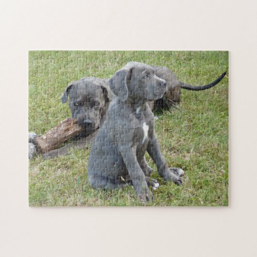 Cane Corso Puppy Schattige Speels Legpuzzel (Horizontaal)