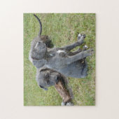 Cane Corso Puppy Schattige Speels Legpuzzel (Verticaal)