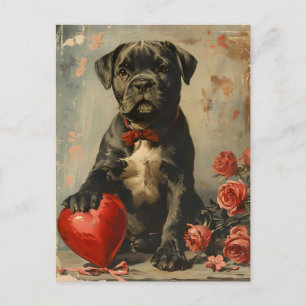 Cane Corso puppy  Valentijnsdag Briefkaart