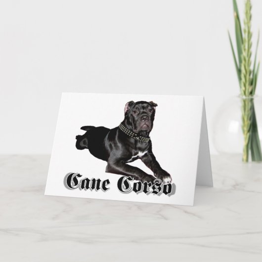 Cane Corso puppy wenskaart Kaart (Voorkant)