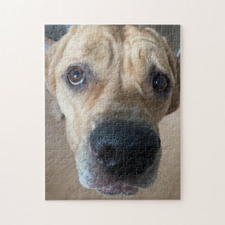 Cane Corso Puzzle Legpuzzel