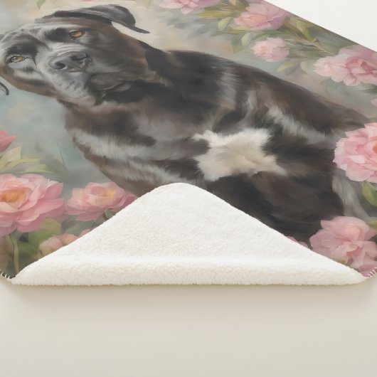 Cane Corso Sherpa Deken (3/4)