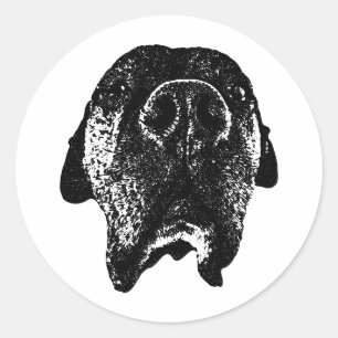 Cane Corso Sticker Krachtige Hondenkop met Vette
