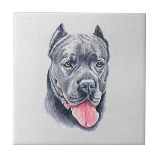 Cane Corso-Tegel Tegeltje (Voorkant)