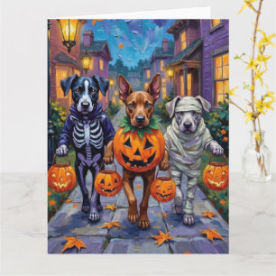 Cane Corso trick-or-treating in Halloween-kostuums Kaart