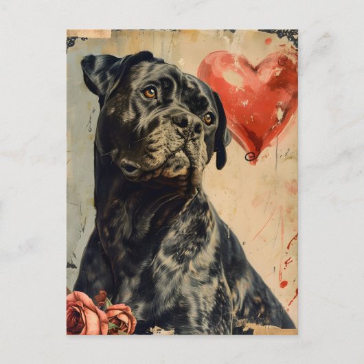 Cane Corso  Valentijnsdag, Briefkaart (Voorkant)