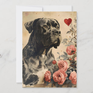 Cane Corso Vintage Valentijnsdag  Feestdagenkaart