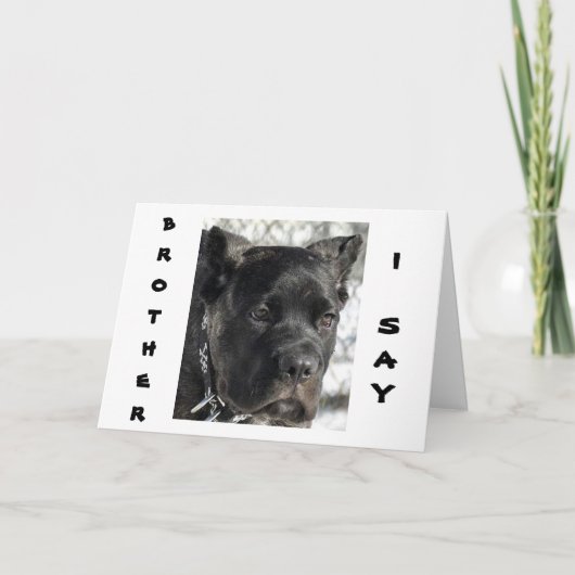 CANE CORSO WIL BROERS VERJAARDAG VIEREN KAART (Voorkant)