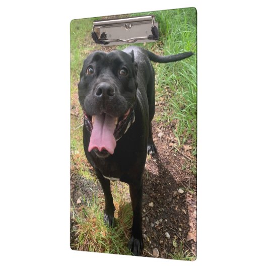 Cane Corso X-klembord Klembord (Links)