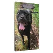 Cane Corso X-klembord Klembord (Rechts)