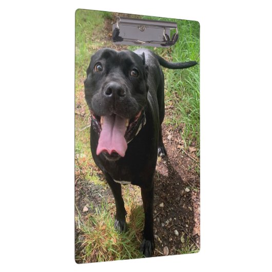 Cane Corso X-klembord Klembord (Rechts)