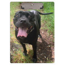 Cane Corso X-klembord