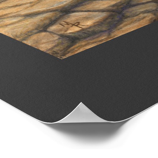 Cane Creek Cascades - Waterfall Art Print (Hoek)