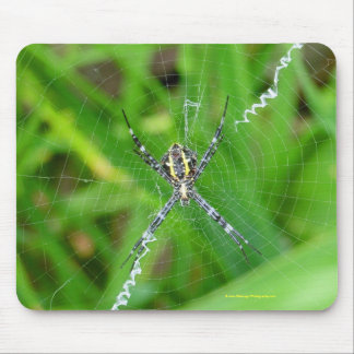 Cane spin - Big Island mousepad Muismat