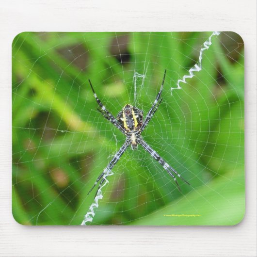 Cane spin - Big Island mousepad Muismat (Voorkant)