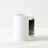 Cane Toad Mok White (Center)