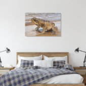 Cane Toad Rhinella marina, voorheen Bufo Canvas Afdruk (Insitu (Slaapkamer))