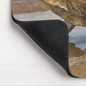 Cane Toad Rhinella marina, voorheen Bufo Muismat (Hoek)